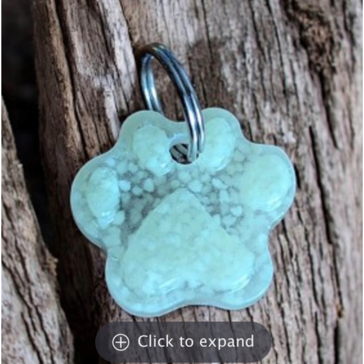 UVPaqlite Glow Pet Tag